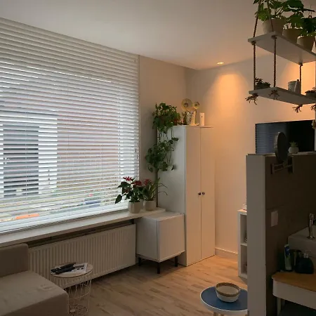 Hartje * Zandvoort
